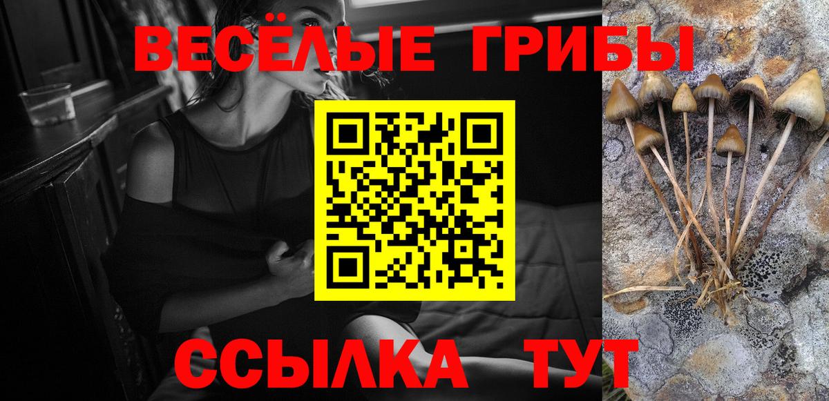 Галлюциногенные грибы прущие грибы Екатеринбург
