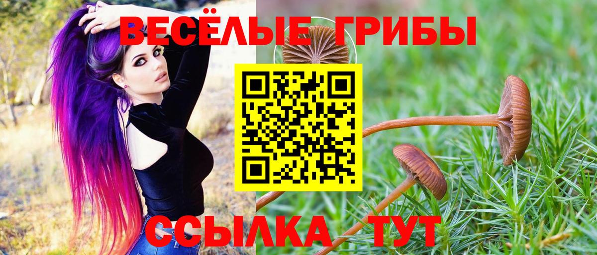 Галлюциногенные грибы ЛСД  Вход с VPN  Екатеринбург 